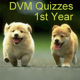 DVM 1st Yr - All Quizzes