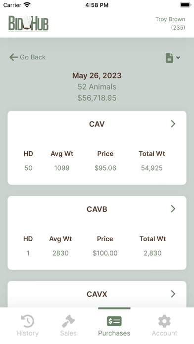 BidHub Auction Suite Screenshot