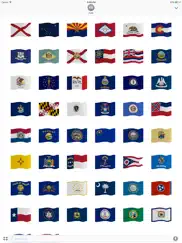 50 flags: state flag stickers айпад изображения 2