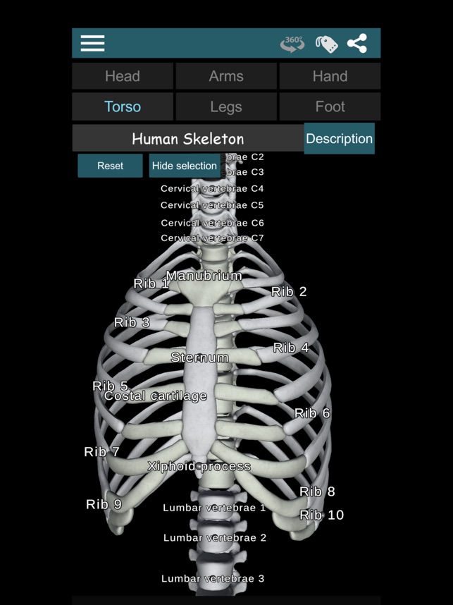 Bones 3D (Anatomy) on the App Store