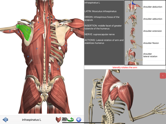 Visual Anatomy iPad app afbeelding 3
