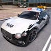 Real Police Car Chase Games icon