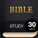 Download 30 Day Bible app