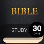 30 Day Bible App Positive Reviews