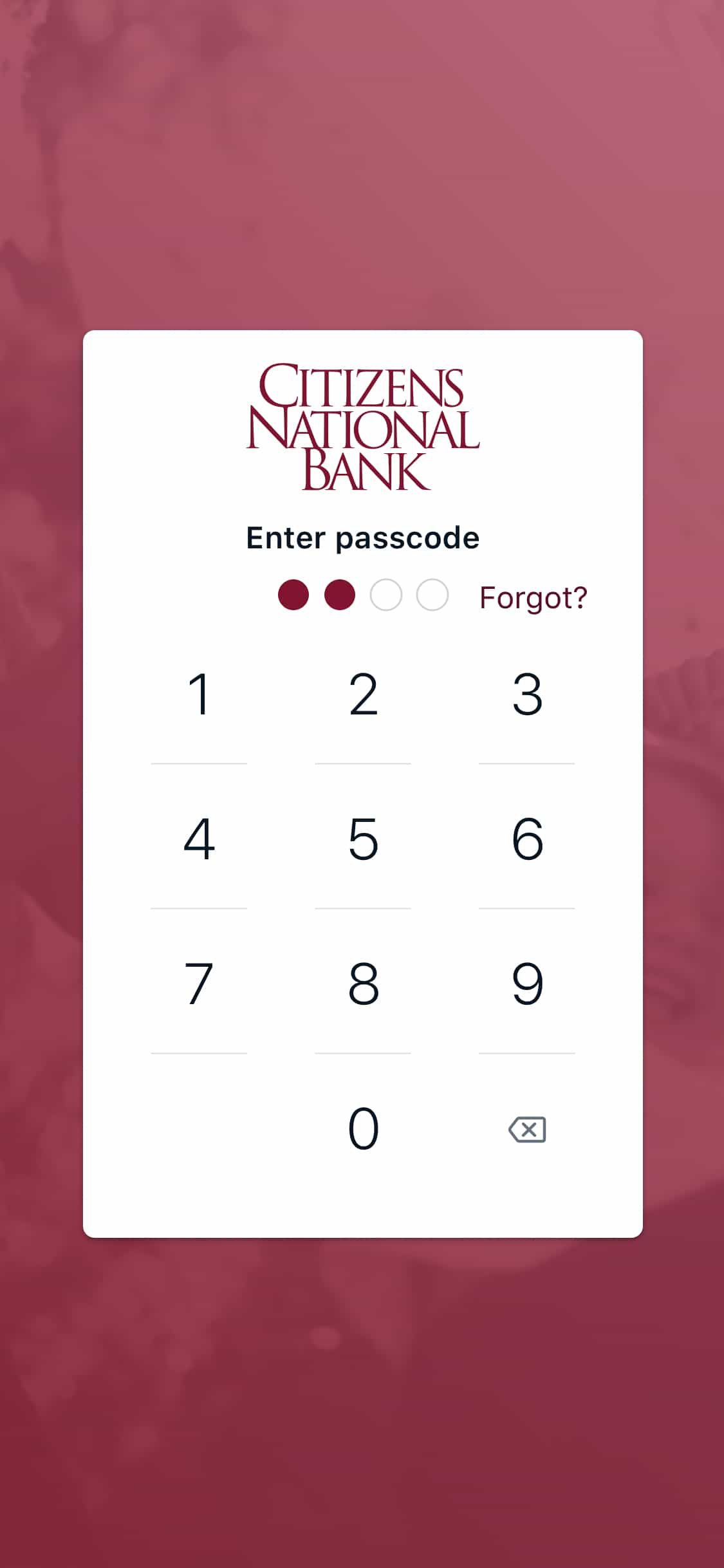 CNB Sevierville Mobile screenshot 4