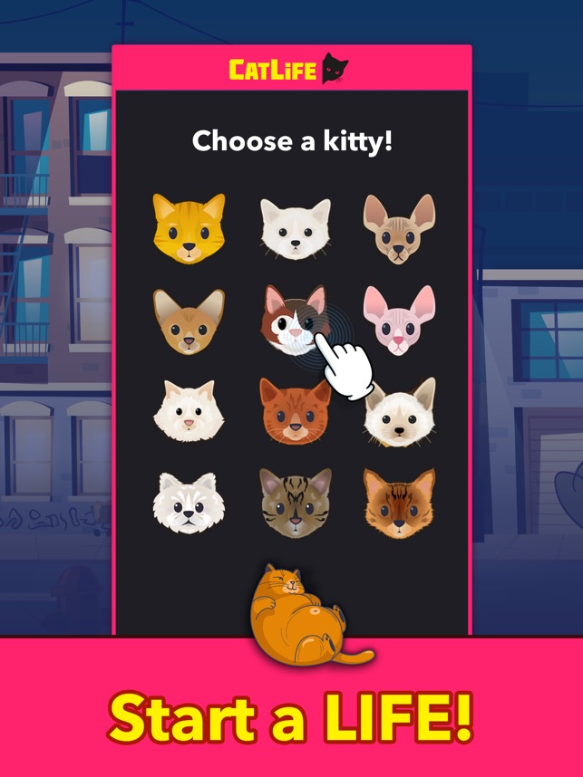 BitLife Cats CatLife on