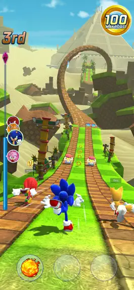 Game screenshot Sonic Forces - Racing Battle apk