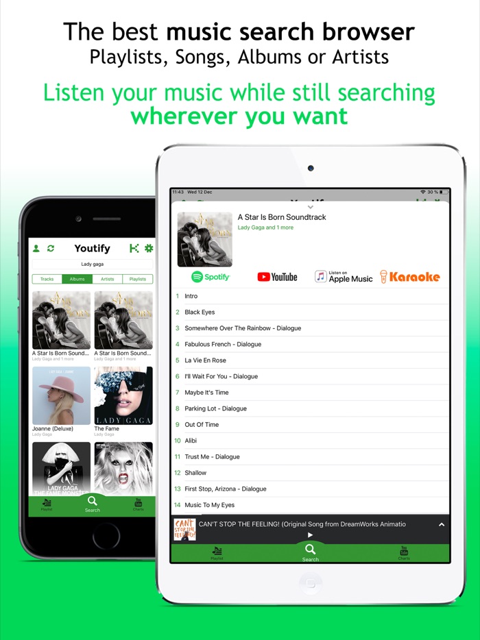 Youtify for Spotify Premium