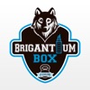 Brigantium Box