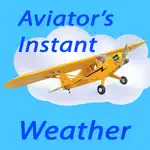 Aviator's Instant Weather App Cancel