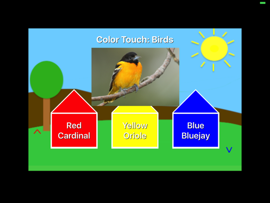 Screenshot #6 pour Color Touch: Birds