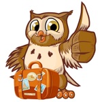 Travel Owl -The Travel Begins