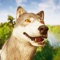 Icon Wolf game the wild kingdom