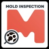 Virtual Mold Inspection
