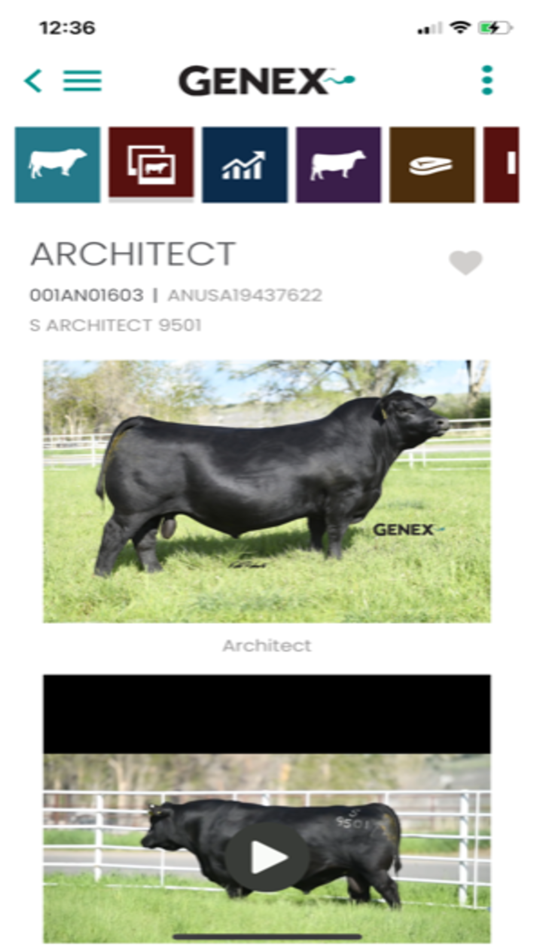 #6. GENEX Beef (iOS) 由: Genex Cooperative, Inc.
