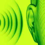 Ear Training - Rhythm Test App Contact