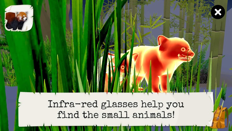 Animal Wild Safari (Full) screenshot-5