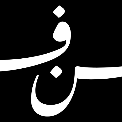 FN فن