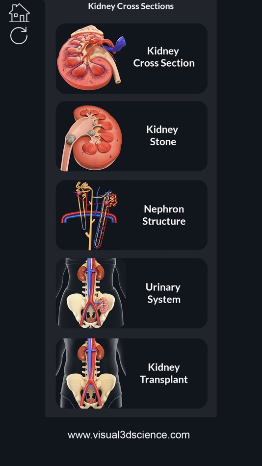 My Kidney Anatomy - kidney Anatomy 1.2 - (iOS)