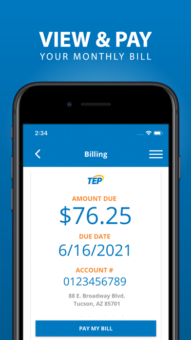 Tucson Electric Power Screenshot