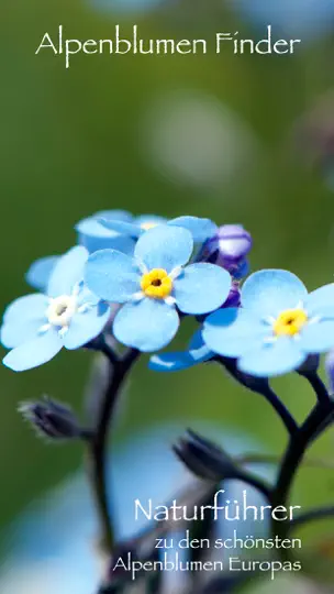 Screenshot von Alpenblumen Finder Europa auf dem iPhone 1
