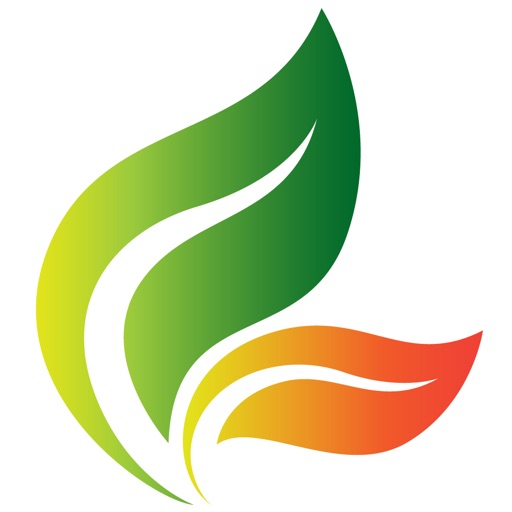 MSV Suplementos - AppWisp.com