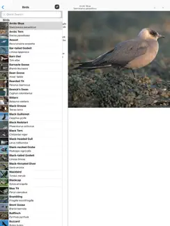 Collins British Wildlife iPad image 2