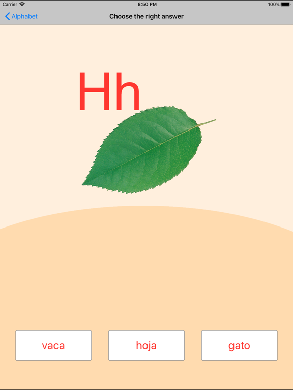 Spanish Alphabet Cards & Quiz iPad screenshot