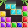 Put Blocks Puzzle icon