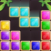 Put Blocks Puzzle