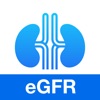 糸球体濾過量 - 推算糸球体濾過量 (eGFR) 計算