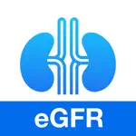GFR Calculator - eGFR Calc App Problems