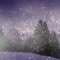 Get into the winter spirit and relax and unwind with this beautiful App Peaceful Winter, featuring picturesque winter scenes and ambient snow flurries coupled with ambient winter wind SFX and relaxing piano music