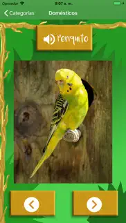 sonidos de animales educativo iphone capturas de pantalla 3
