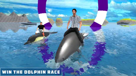 Dolphin Transport Game