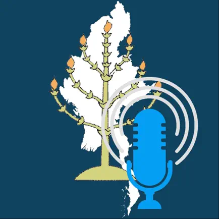 Amana Radio Читы