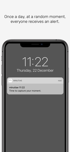 minutiae: Real Life screenshot 5