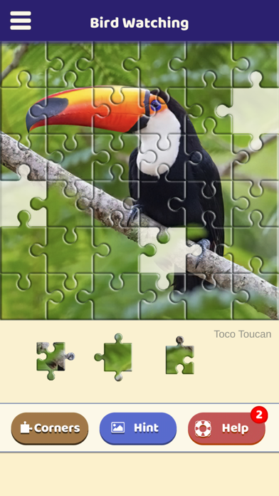 Bird Watching Puzzle Screenshot