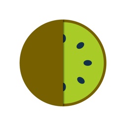 Kiwi Kanji