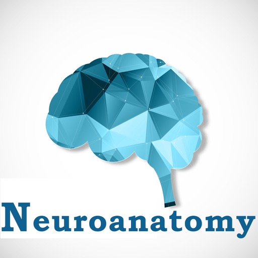 Neuroanatomy Exam Review  :Q&A icon