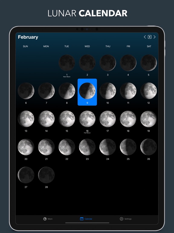 Screenshot #5 pour Lunar Phase Widget
