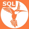 SQL Recipes - iPhoneアプリ