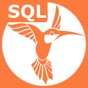 SQL Recipes app download
