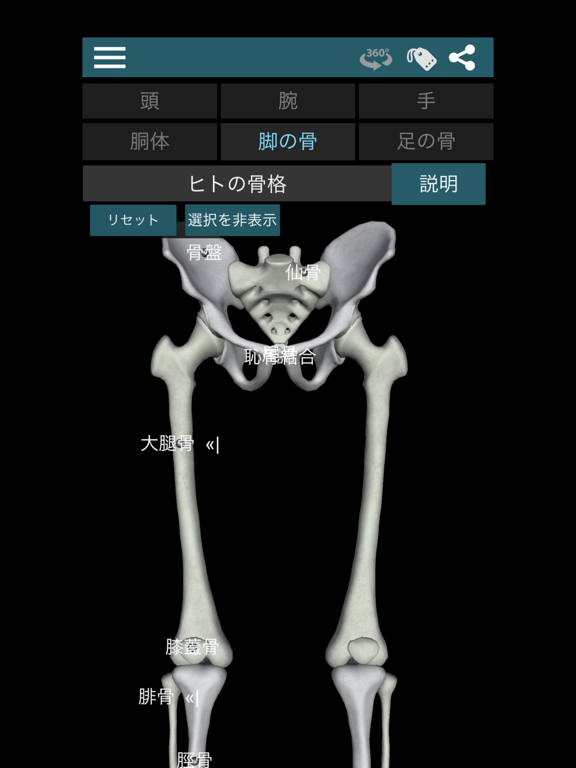 3D人骨（解剖学）のおすすめ画像5