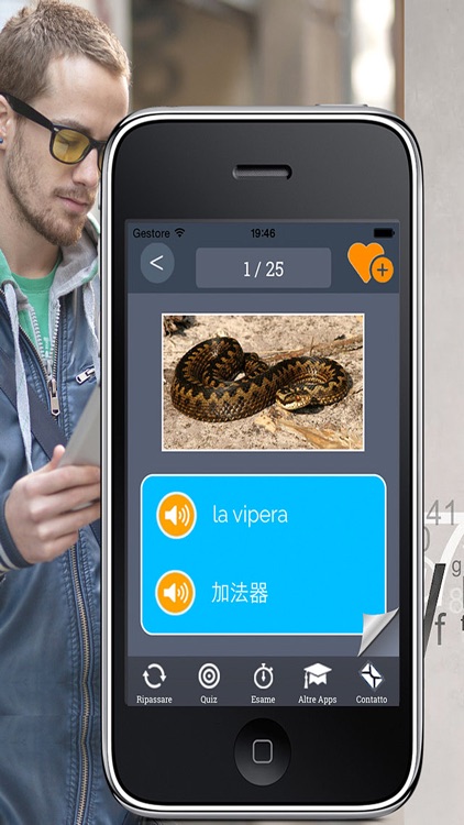 Word Trainer CH-IT screenshot-3