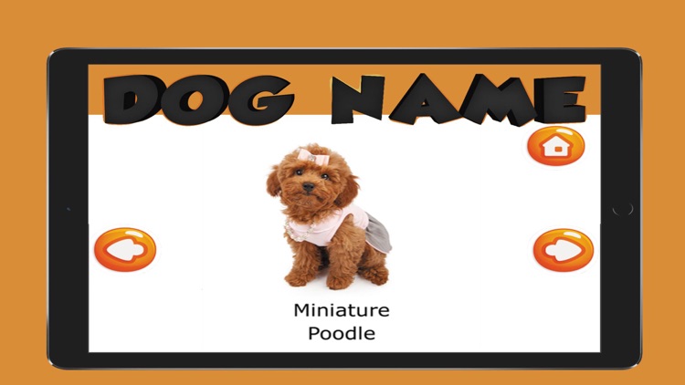 The Dog Name English Vocabulary
