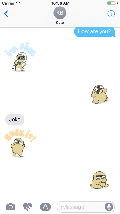 Mochi the pug