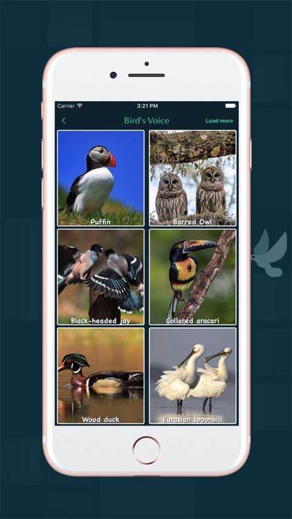 Zoo Voice screenshot-3