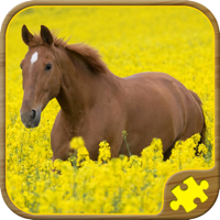 Horse Jigsaw Puzzles - Brain Training Games