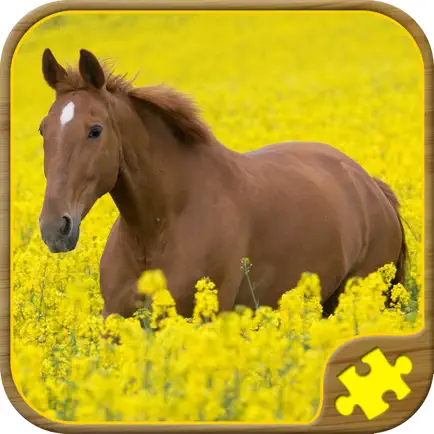 Horse Jigsaw Puzzles - Brain Training Games Cheats